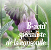 B-actif le spécialiste de la consoude
