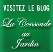 Consoude au Jardin