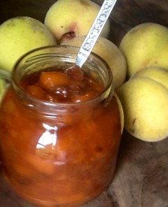 chutney de pêches