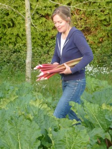le potager de Jenny