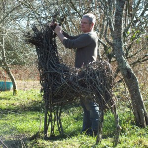 un cerf au potager