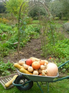 courge