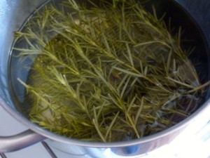 le romarin dans le soin aux cheveux